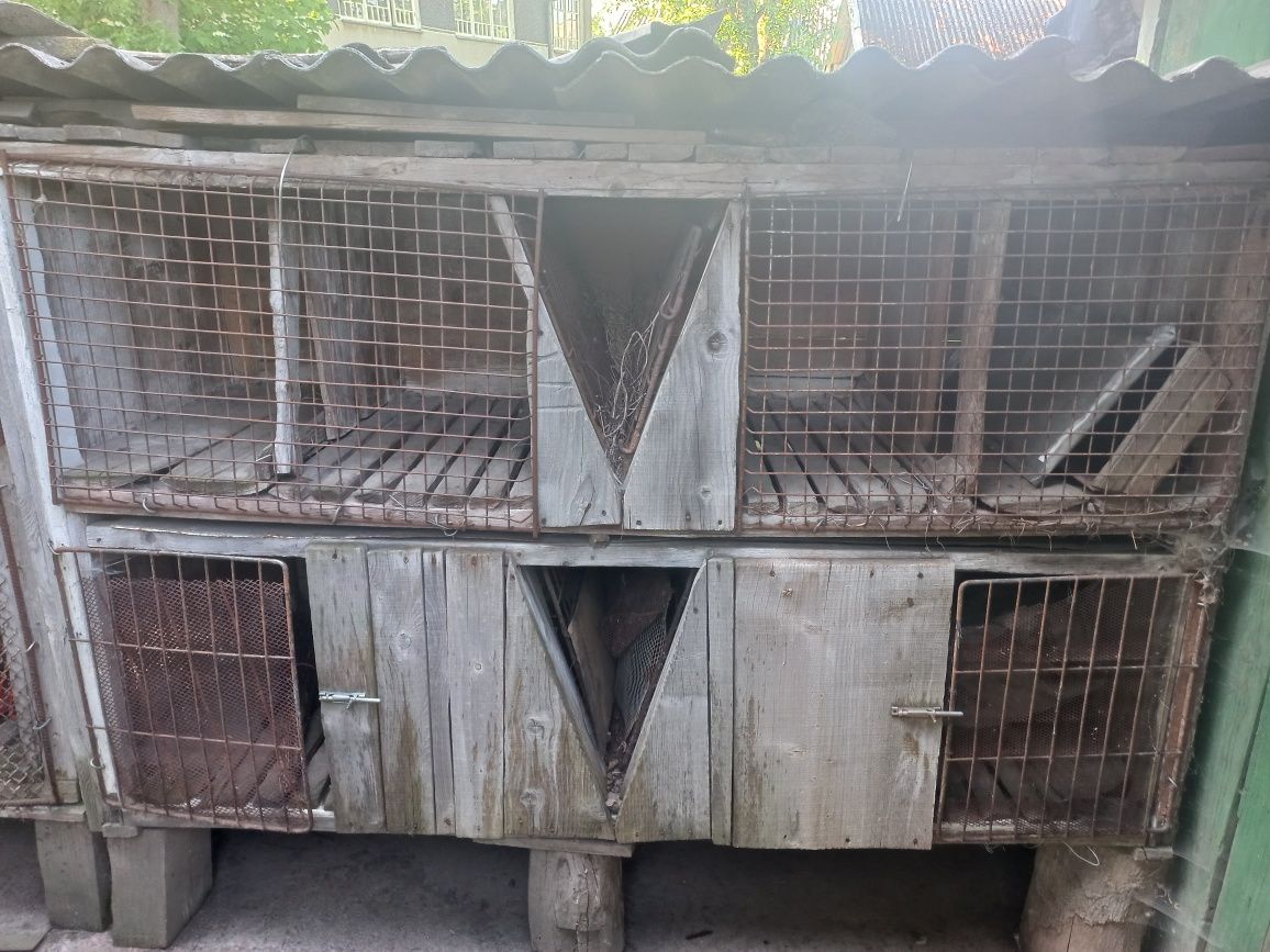 Клітка для кролів