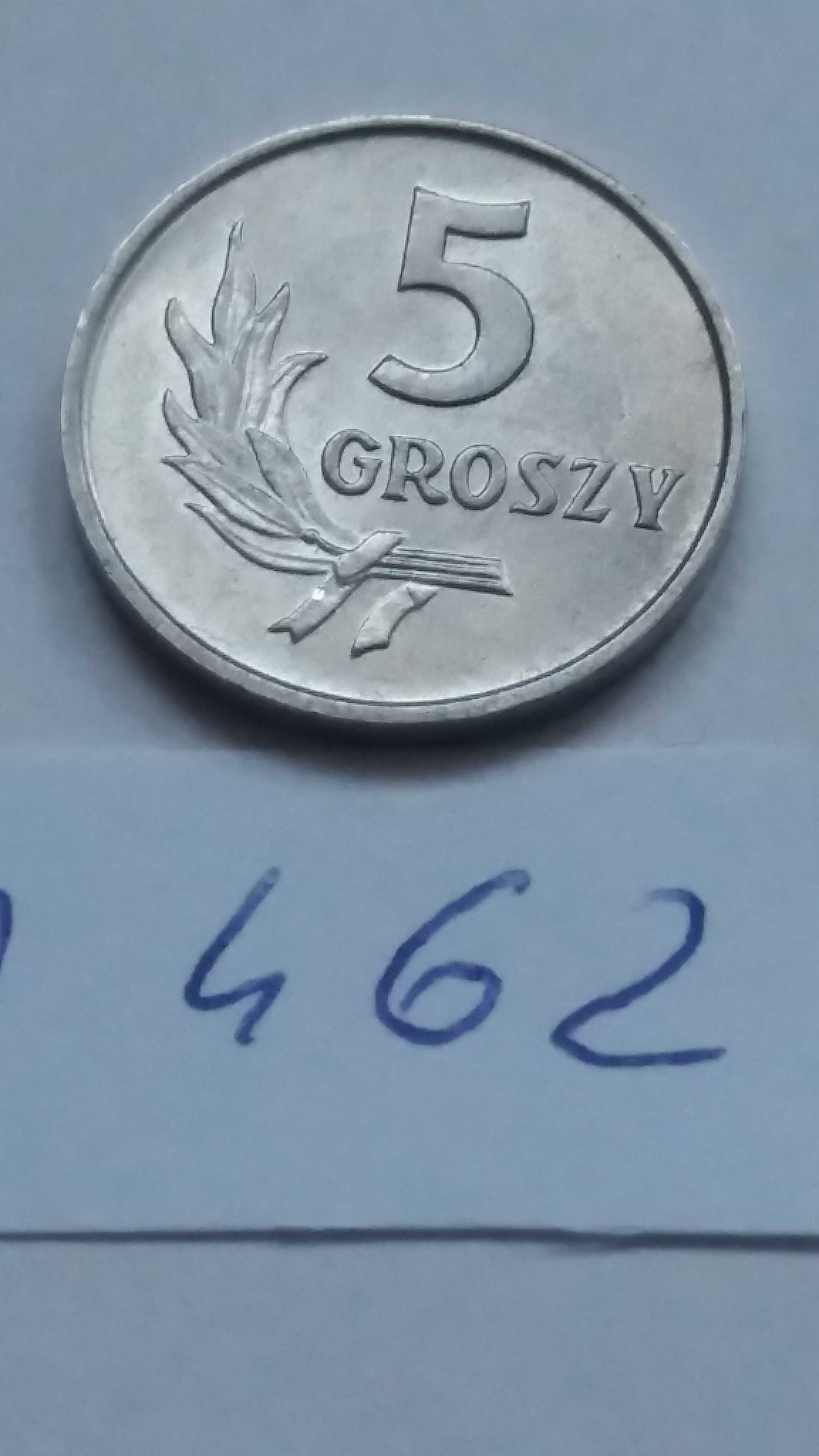 D M462, stara moneta  5 groszy 1962 Polska polecam starocie wyprzedaż