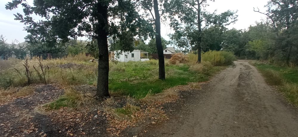 Земельна ділянка в с. Червона Слобода