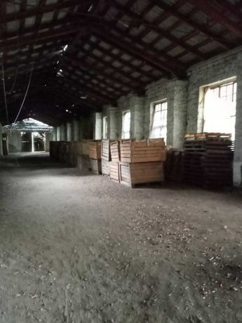 Продаж комерційного складського приміщення, р‑н. Могилів-Подільський