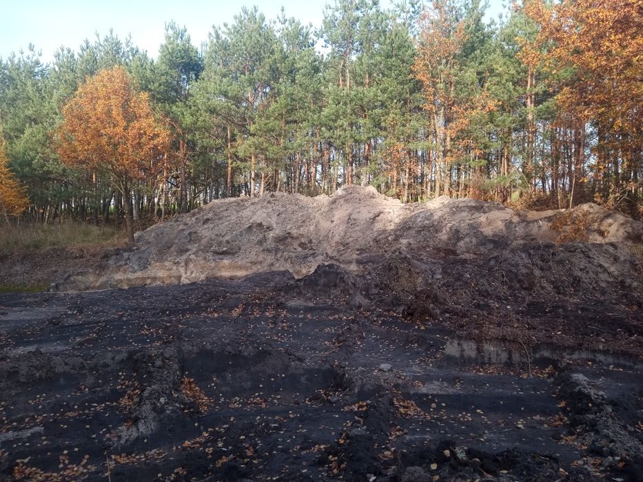 Oddam za darmo świeżo wykopaną ziemię