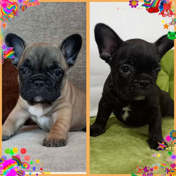 Кращі з найкращих