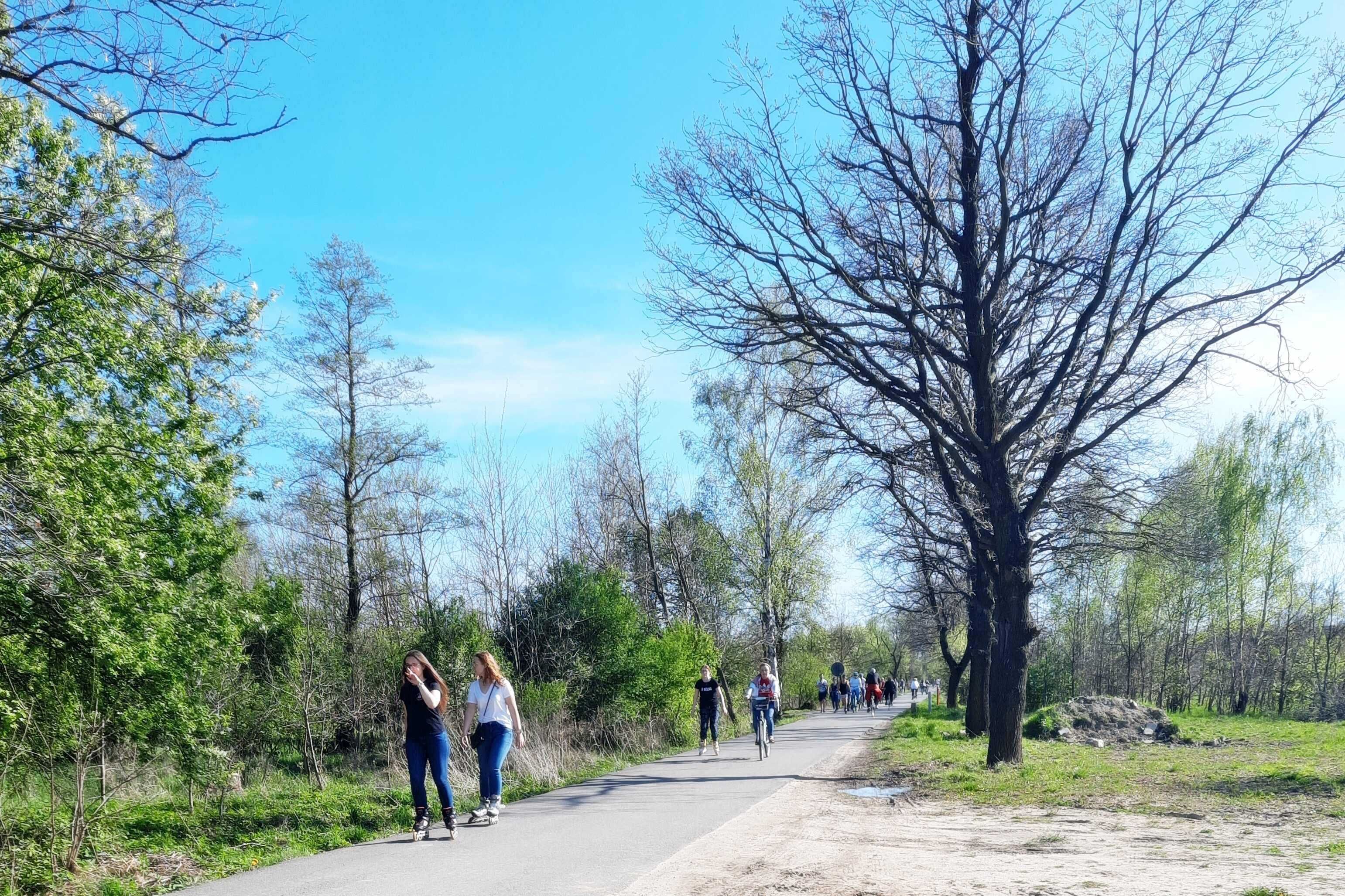 Działka budowlana . Dąbrowa Górnicza . Pogoria 4 . Marianki .