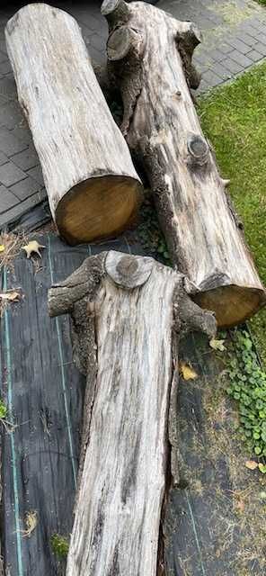 DĄB, kloc,  prosta  kłoda, deski , drewno, opał