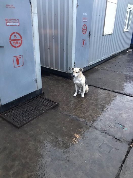 Молоденький хлопчик Карданчик