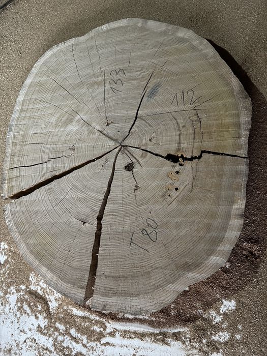 Слеб дуб , капова тополя ) термо дошка торцеві спили