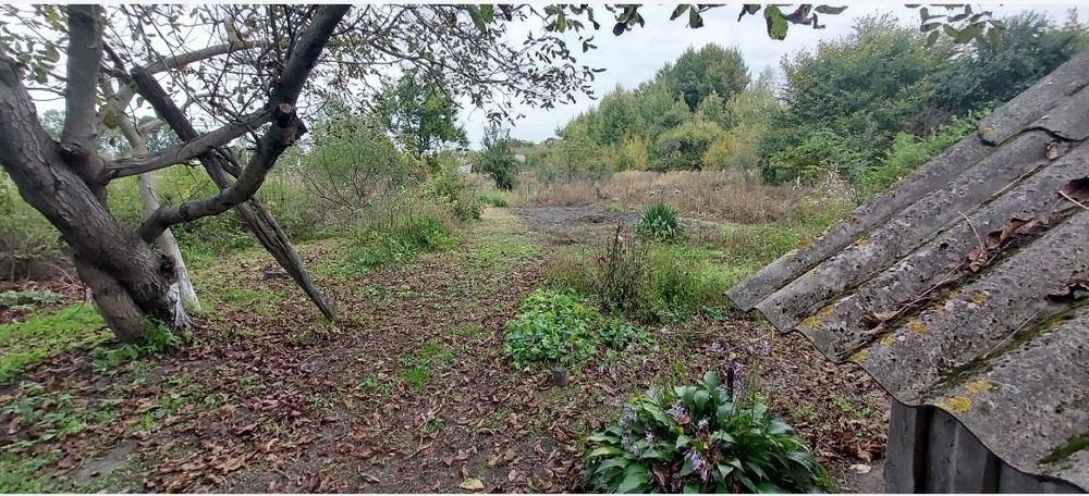 Продам,здам будинок під дачу.