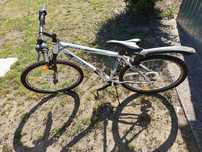 Rower MTB Bachini