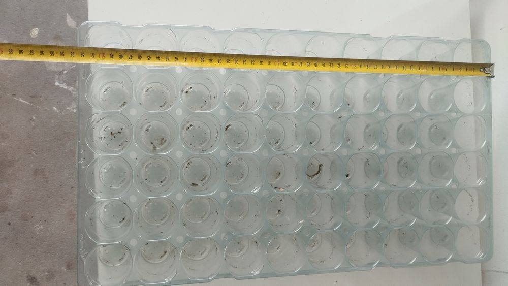 Multiplaty wielodoniczki