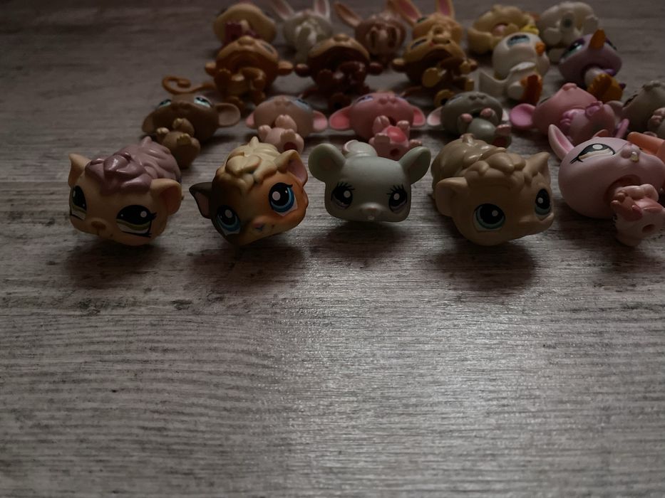 LPS Littlest pet shop zestaw