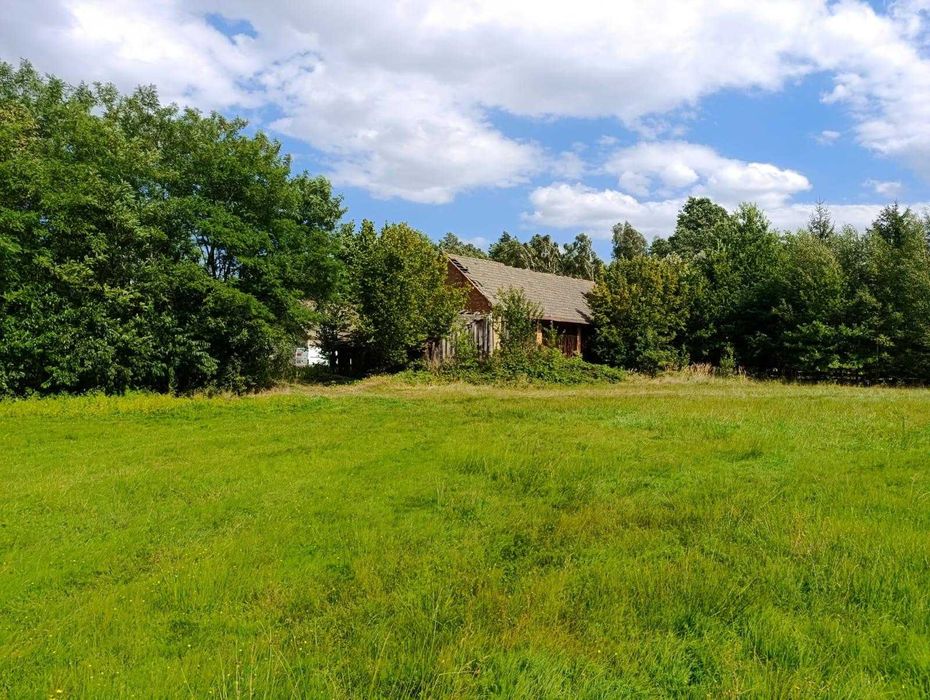 Na sprzedaż urokliwa posiadłość (dom, działka) ponad 3,5 ha