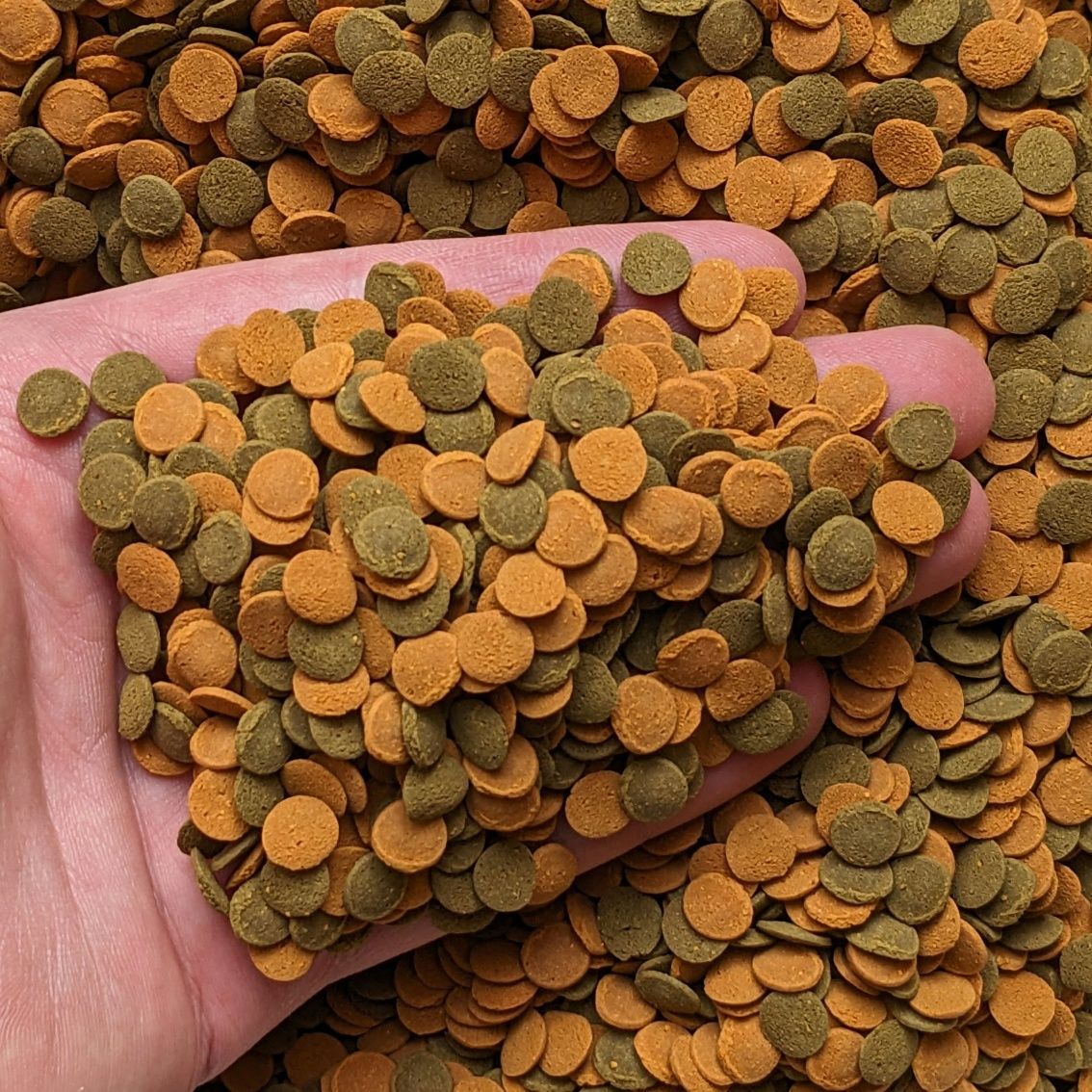 Tetra Wafer Mix 100г корм для акваріумних рибок таблетки для сомиків