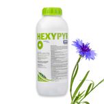 Hexypyr 200 EC 1L Herbicyd Środek na chwasty