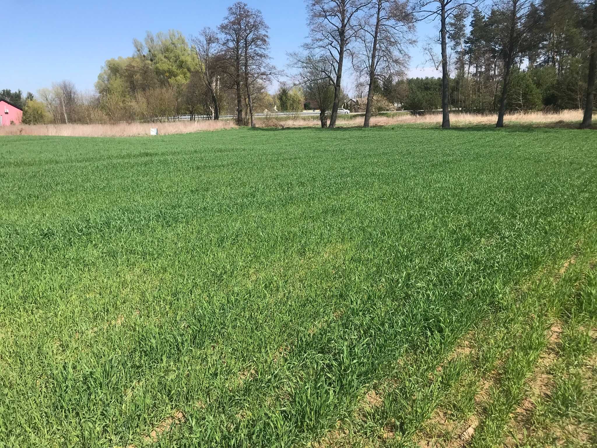 Działka rolno-budowlana