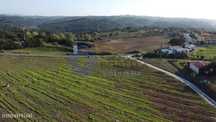 Terreno com 3,8433 hectares em Gaeiras, Óbidos
