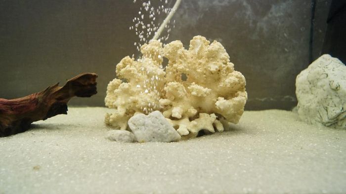 Для акваріума пісок кварцовий /мука  кварцова 50 мк