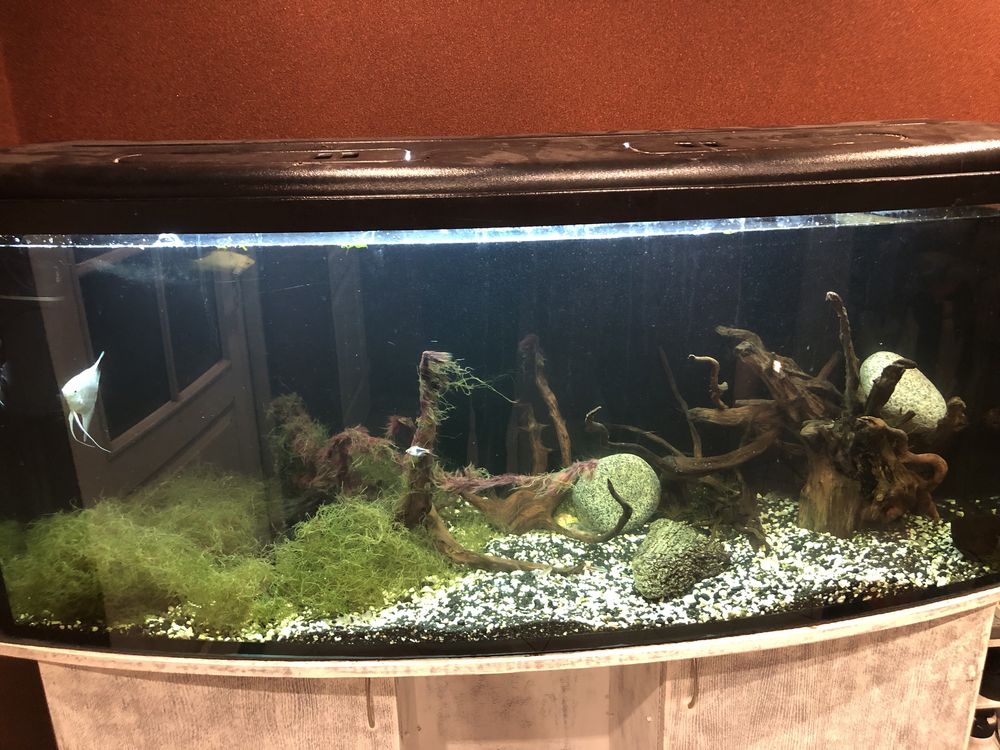 Akwarium 420 litrow