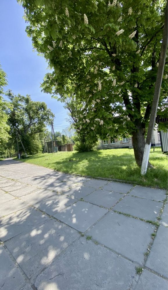 Комерція Інвестоб’єкт у центрі Ржищева: 460 м² + 26 соток,