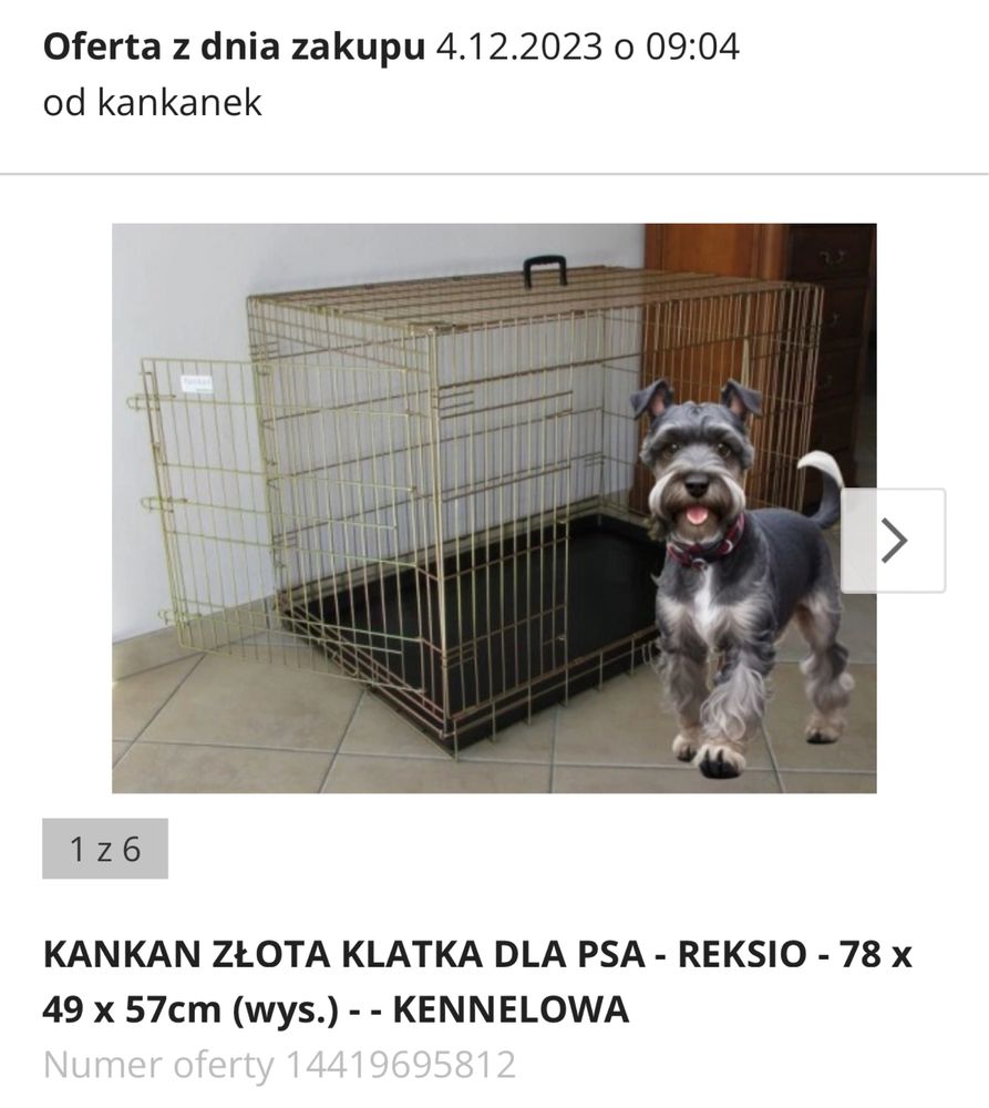 Kankan zlota klatka dla psa