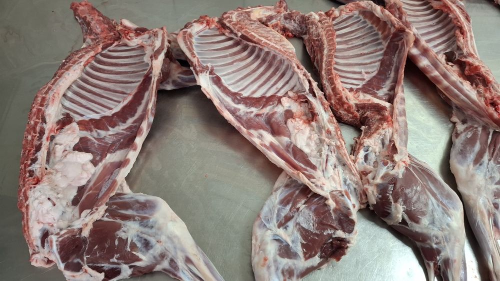 Jagnięcina, owce kameruńskie