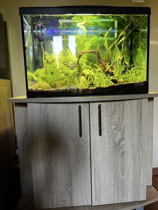 Akwarium 72l cały zestaw