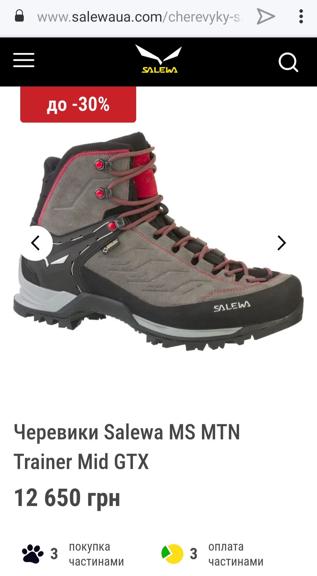 Черевики чоловічі Salewa Mtn Trainer Mid Gtx Gore-Tex Vibram Scarpa 45