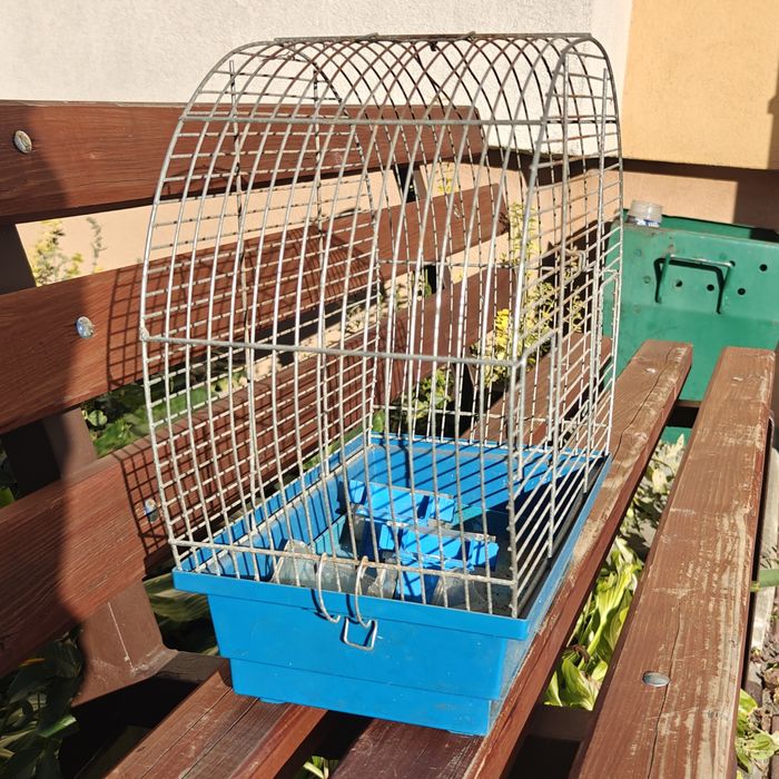 Klatka dla ptaków kanarka kanarków