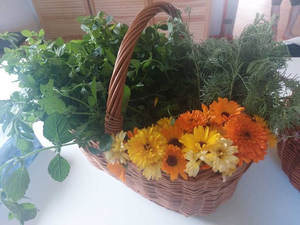 Krem nagietkowy ręcznie robiony