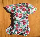Pielucha wielorazowa Little Birds Diapers (3kg - 7kg) WISIENKI