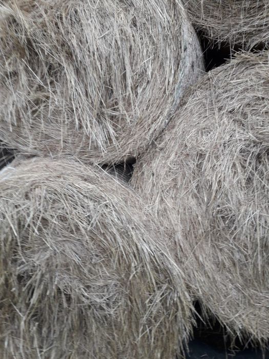 Siano tegoroczne składowane w stodole