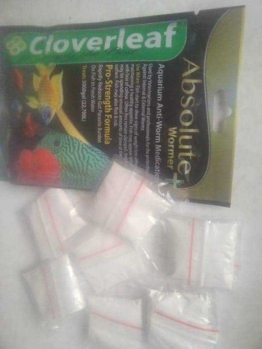 Wormer Plus przeciw pasożytom dla paletek  10 gram