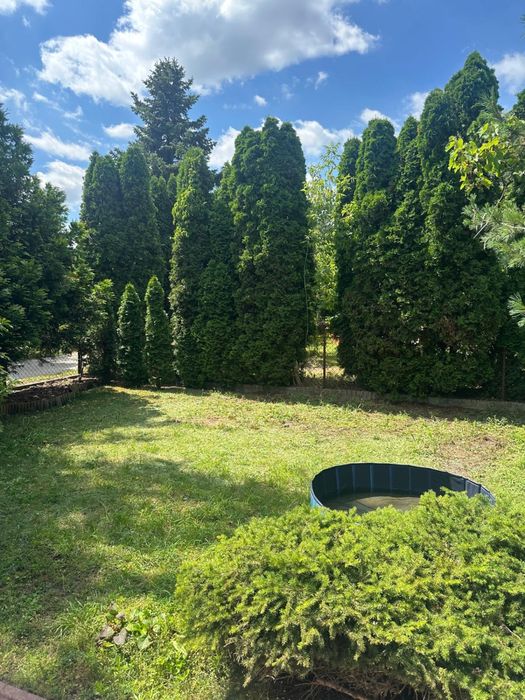 Działka ROD Bemowo II