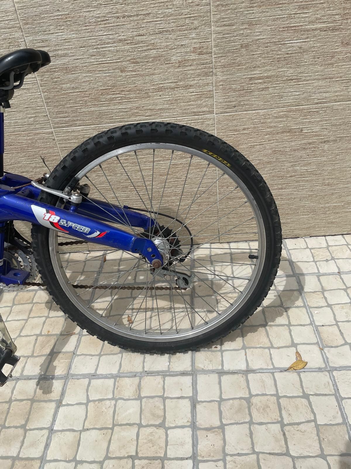 Bicicleta adulto