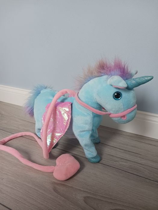 Konik Pony na smyczy