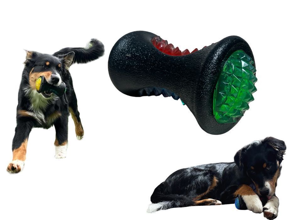 Gryzak piłka dla psa skacząca świecąca gumowa zabawka aport pływa