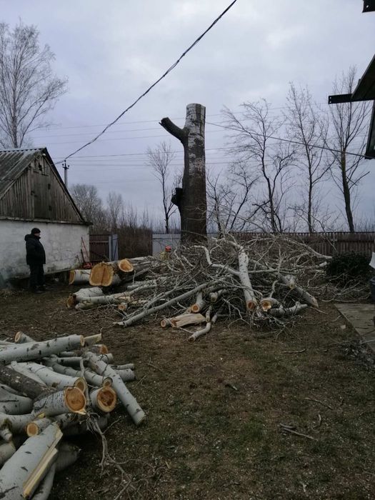 Зрізання аварійних дерев.Порізка  на дрова.Подрібнення гілля.
