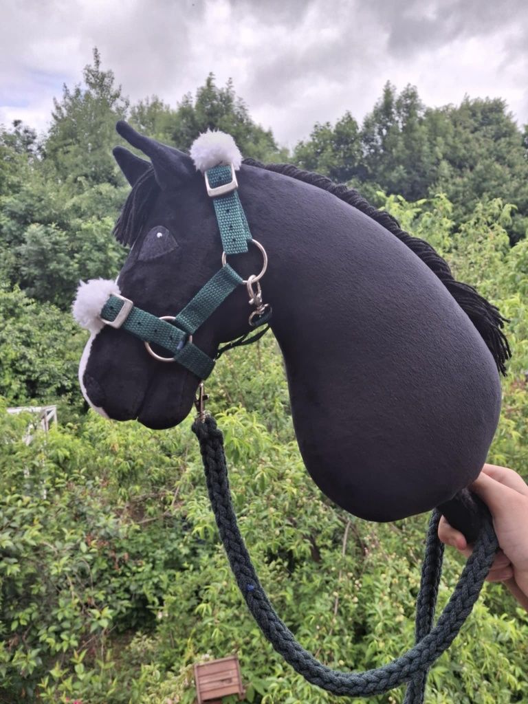 Hobby Horse, Kary, konik na kiju, lekki, A4, do skoków.
