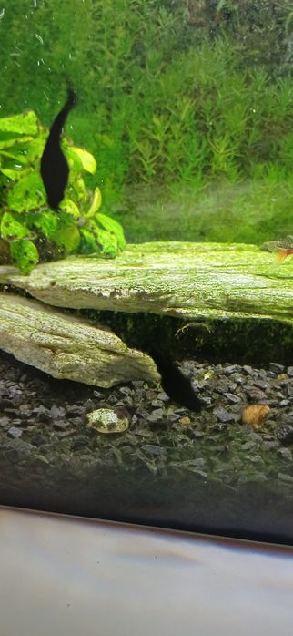 Akwarium z rybami i pełnym wyposażeniem