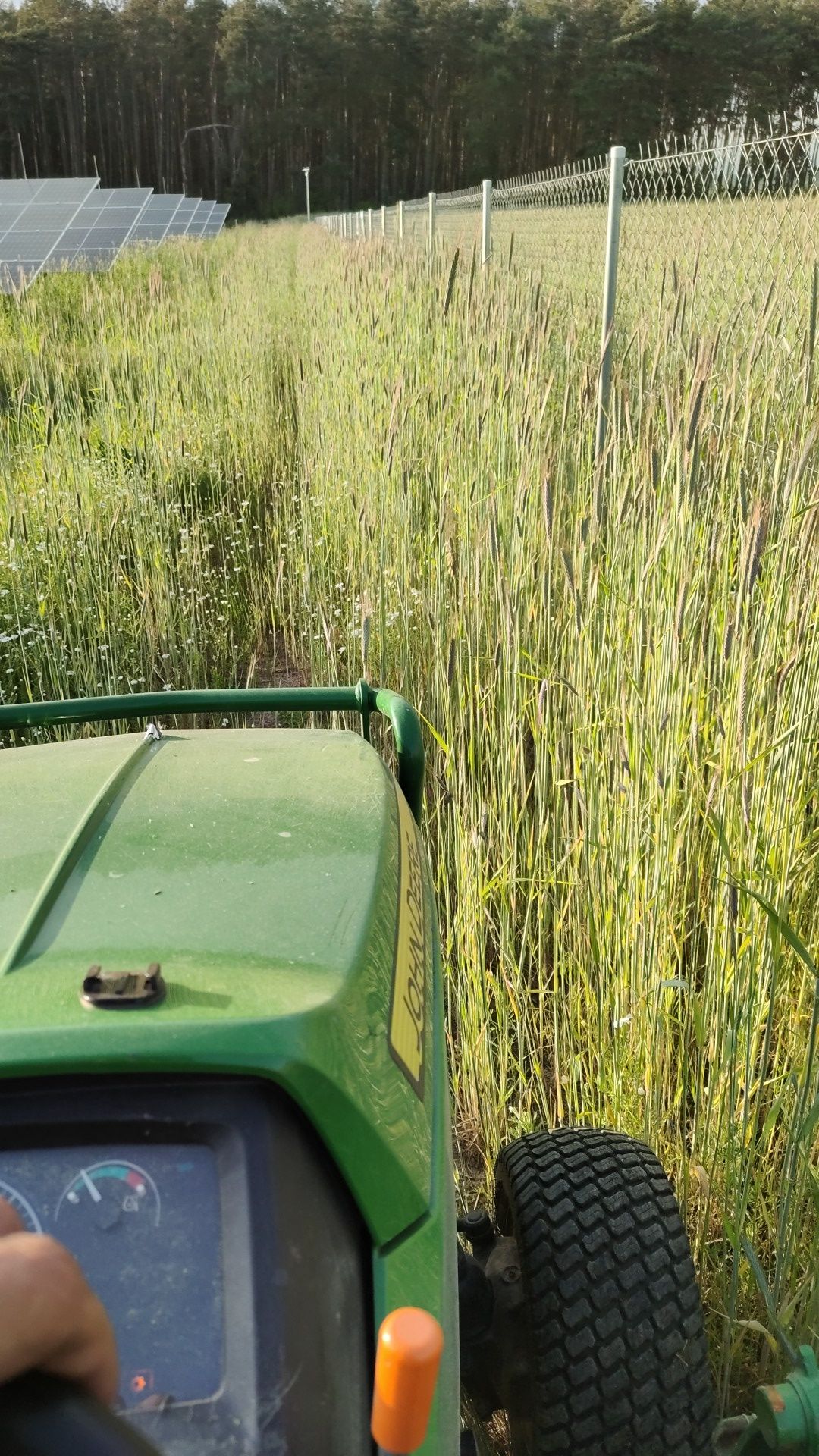 Koszenie farm fotowoltaicznych trawy nieużytków paneli