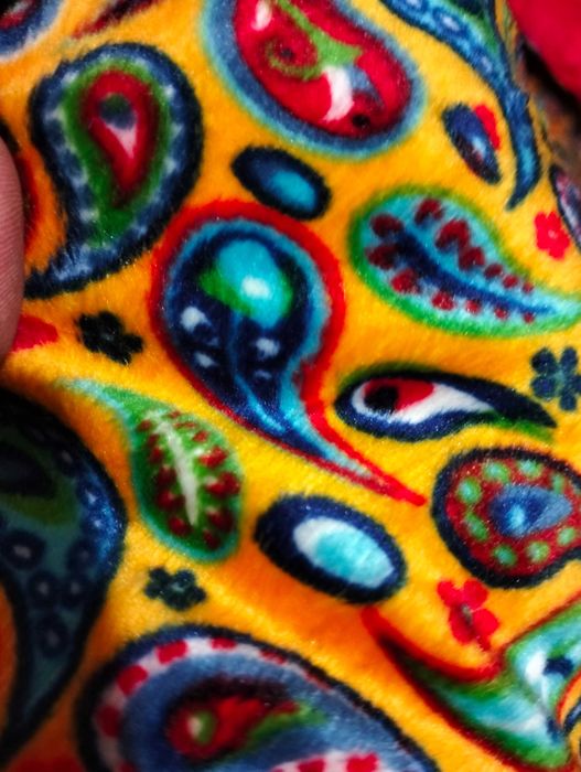 Зимовий одяг для собак