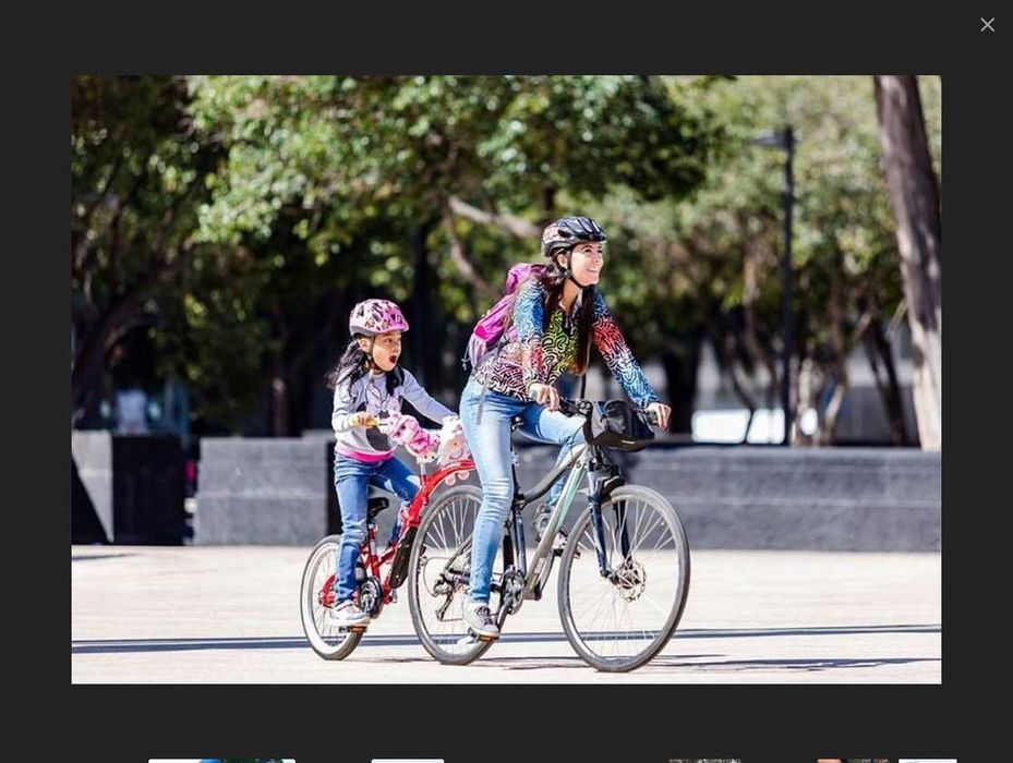 WeeRide PRO Pilot ALU rower, przyczepka, doczepka rowerowa dla dzieci