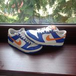 Nike dunk low 39
