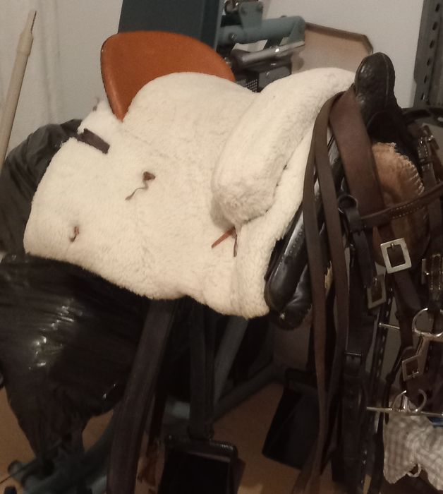 Vendo ou troco montura  espanhola.