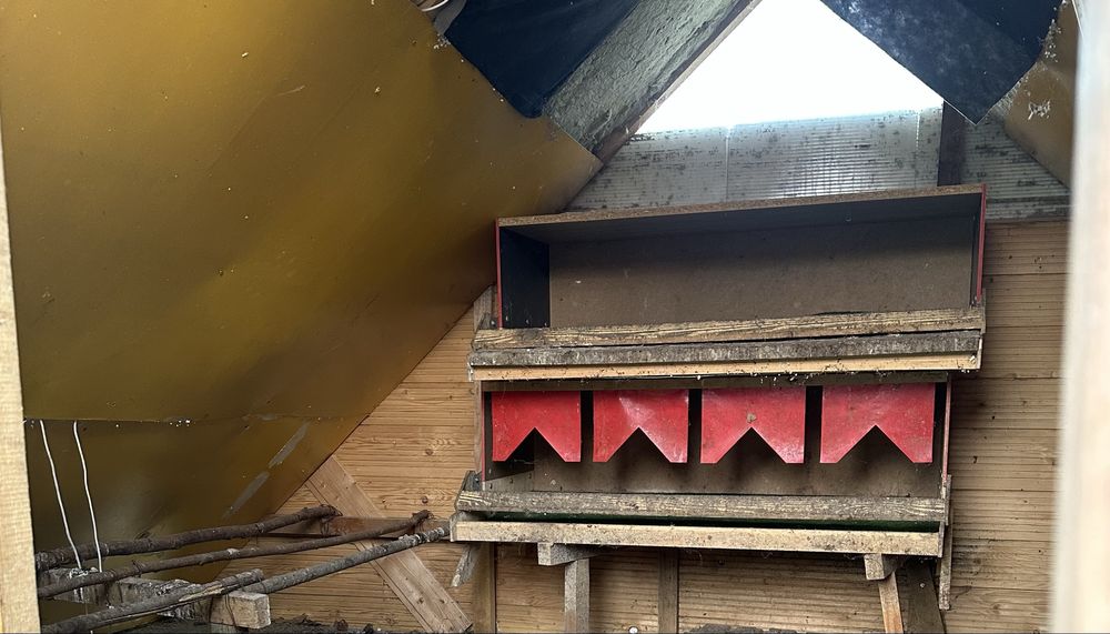 Kurnik mobilny z akcesoriami