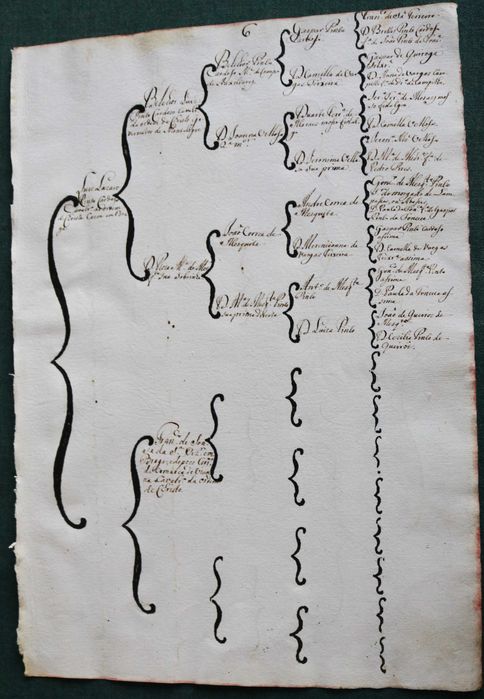 Luiz Lazaro Pinto Cardoso Mirandela e Braga costados