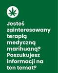 recepta wizyta gabinet cbd konopie susz konsultacja marijuana