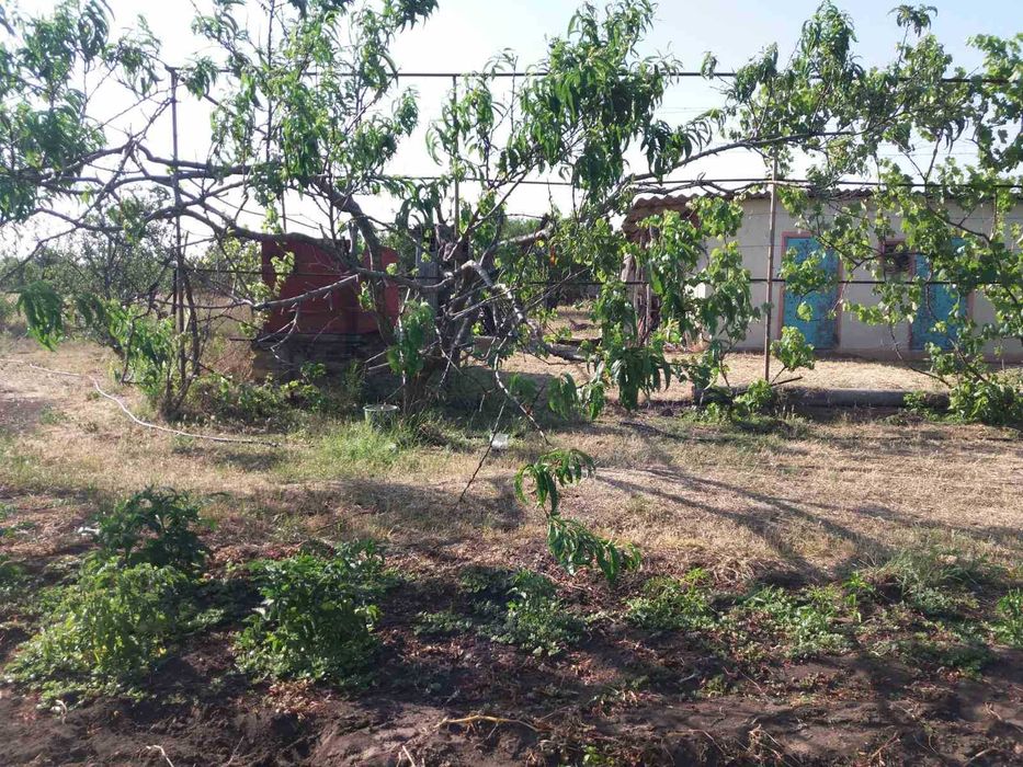 Продам капитальный дом в пригороде Одессе