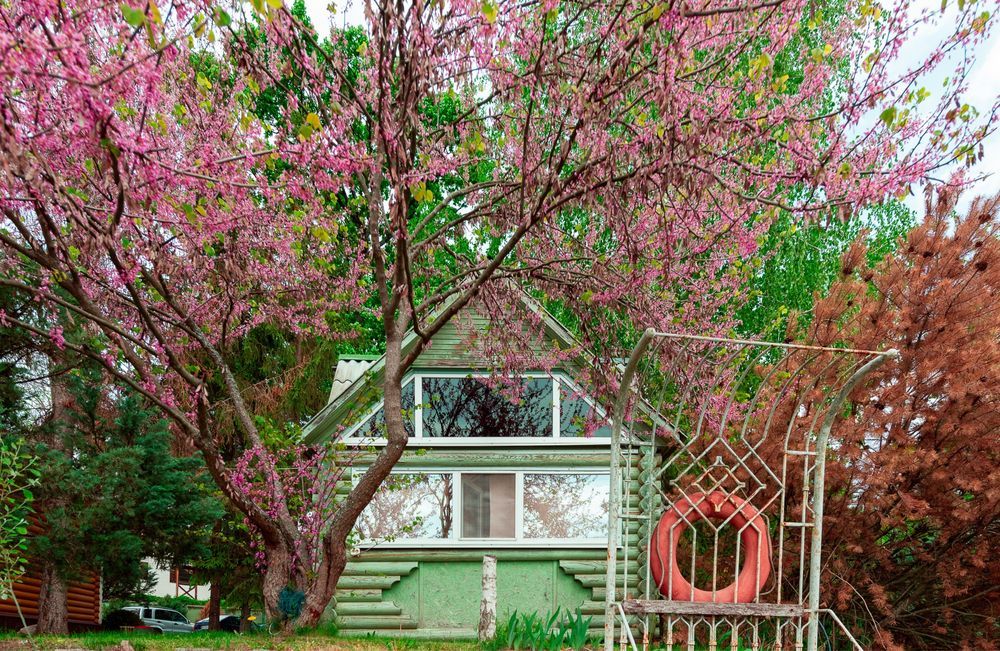 Продам готовый бизнес на берегу Северского Донца, Коробовы Хутора