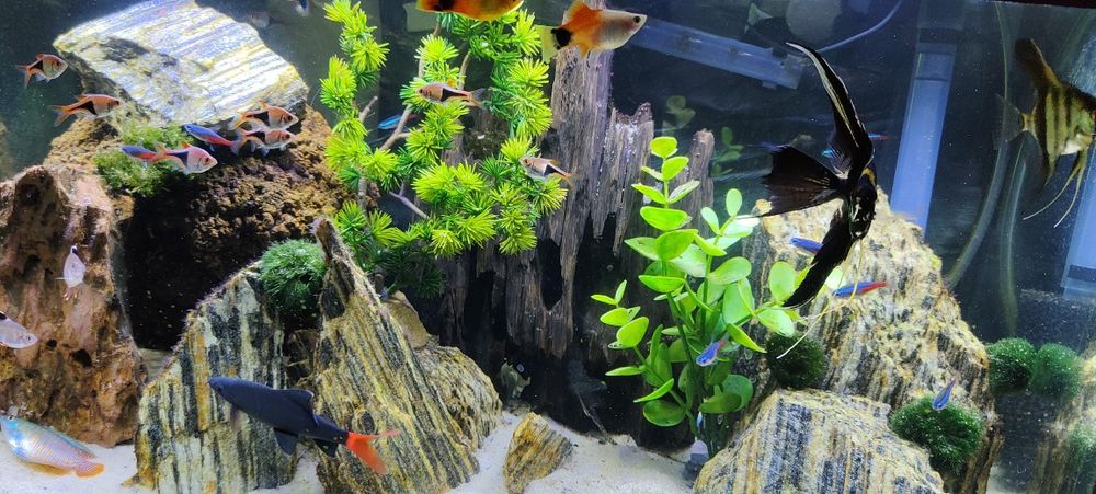 Witam sprzedam akwarium.