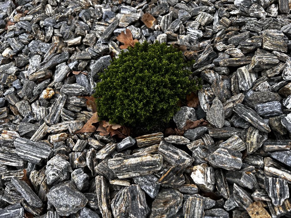 Kora kamienna ( gnejs)- kamien ozdobny